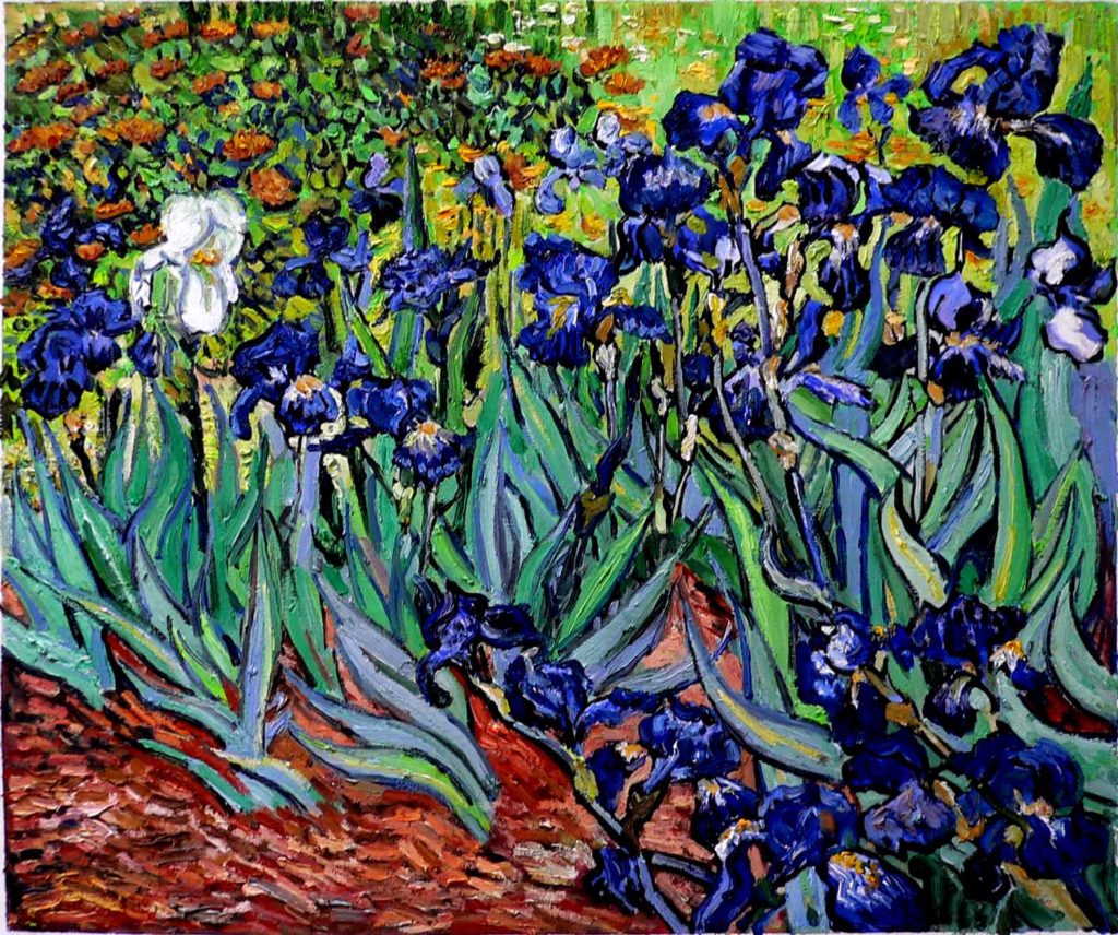 Van Gough Iris Art L More Chocolat   Van Gough Iris Art 1024x856 